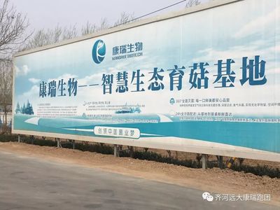 心中有光，眼底有海 10月